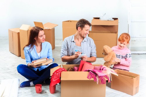 Removal team planning a move in Lewisham with boxes and furniture