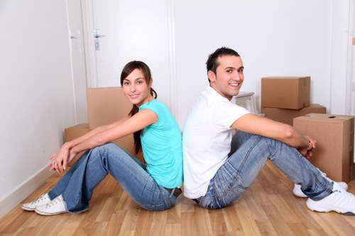 Inclusive online access for Lewisham removals information